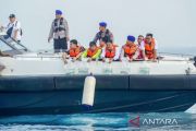 Polisi ungkap penangkapan ratusan ikan Napoleon di Kepulauan Seribu
