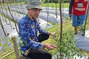 Pemkot Batam bayarkan premi jaminan sosial ketenagakerjaan 2026 bagi 2.500 petani