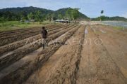 Warga perbaiki lahan pertanian secara mandiri di Padang Pariaman