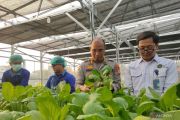 Green House Palmerah bakal pasok bahan baku untuk jaringan SPPG Polri