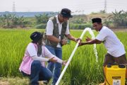 PLN dorong produktivitas petani Klaten melalui electrifying agriculture