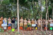 Pemprov Kalsel rehabilitasi hutan seluas 100 ribu hektare&nbsp;