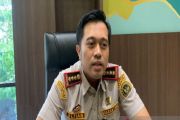 Distribusi sapi Sulteng melonjak signifikan jelang Idul Adha