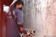 Sebanyak 15 kasus DBD terjadi di OKU selama Januari-Mei 2026