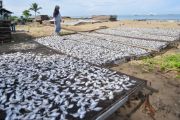 Proyeksi angka konsumsi ikan nasional 2026