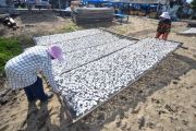 Proyeksi angka konsumsi ikan nasional 2026