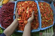 PIHPS: Harga cabai rawit Rp74.150/kg, telur ayam Rp41.850/kg
