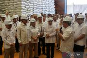 Pengamat: Indonesia kunci ketahanan pangan ASEAN