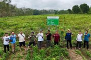 Kalsel tuntas tanam 105 ha FOLU Net Sink di Tabalong dan Hulu Sungai