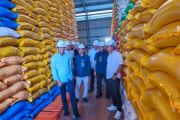 Bulog Kolaka: Stok 19.809 ton beras aman hingga dua tahun ke depan