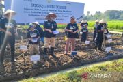 Bulog ambil bagian pada budidaya kedelai di Kabupaten Sragen