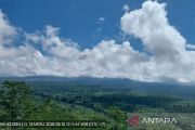 Gunung Semeru erupsi disertai awan panas guguran
