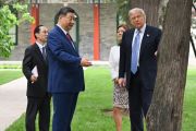 Diplomat Tertinggi China sebut pertemuan Xi-Trump sukses