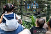 Libur panjang, 120.000 orang diprediksi kunjungi Ragunan