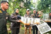 Balai Karantina NTB melepasliarkan ribuan ekor burung ke TWA Suranadi