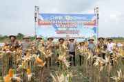 Pemprov Jateng sebut produksi padi capai 4,16 juta ton GKG
