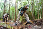 Otorita IKN ajak pengunjung tinggalkan jejak hijau lewat penanaman 150 bibit
