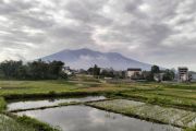 PGA: Erupsi Gunung Marapi semburkan abu vulkanik setinggi 500 meter