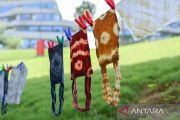 Batik khas IKN berpotensi pengembangan lanjutan