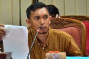 Legislator Kotim khawatir petani kelapa mulai beralih ke sawit