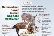 Ketersediaan hewan kurban Idul Adha 2026 aman