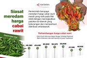 Siasat meredam harga cabai rawit