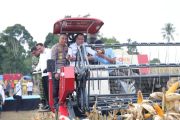 Kabupaten Ogan Komering Ulu Selatan panen raya jagung 30 ton, dukung program ketahanan pangan