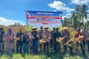 Polres-Donggala libatkan pemda panen 8 ton jagung di Labuan Toposo