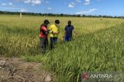Bermalam di lumbung harapan demi senyum petani