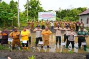 Pemprov Papua percepat cetak sawah 100 hektare di Waropen