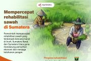 Mempercepat rehabilitasi sawah di Sumatera