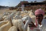 Pemerintah beri ruang pelaksanaan dam sesuai keyakinan fikih jamaah