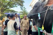 Presiden Prabowo beli sapi milik warga Kota Bandung untuk kurban