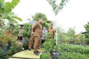 Wali Kota Makassar instruksikan hasil "urban farming" bisa pasok kebutuhan MBG