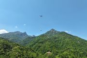 Menengok peningkatan digital industri teh hitam di Qimen, China