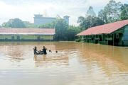 Enam sekolah di Kotim terapkan BDR akibat banjir
