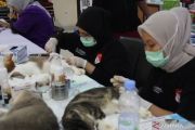 KPKP Jakbar targetkan 2.200 kucing disterilisasi selama 2026