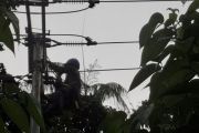 PLN ULP Namlea intensifkan pemulihan gangguan kelistrikan dampak cuaca ekstrem di Kabupaten Buru