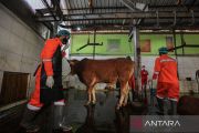 DPRD-Pemprov Jabar perketat pengawasan penyembelihan hewan kurban