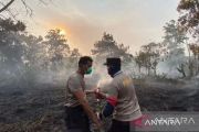 Walhi : Ancaman Karhutla di Indonesia masih tinggi