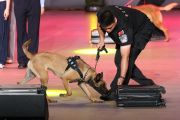 China-AS kolaborasi bongkar kasus kejahatan transnasional