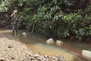 Kemenhut usut lebih dalam kasus kayu ilegal di TN Bukit Tiga Puluh