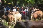 Negosiasi pembelian ternak di balik kain khas Sumbar