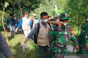 BKSDA Sumbar evakuasi harimau masuk kandang jebak di Agam