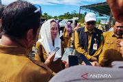 Pemkab Natuna sediakan puluhan beasiswa di perguruan tinggi