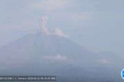 Gunung Semeru erupsi dengan tinggi letusan 1.000 meter