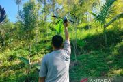 Pasca evakuasi harimau, BKSDA-Sintas pantau kondisi Batang Palupuh Agam (Video)