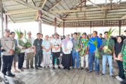 Pemkab-Touna salurkan 110 bibit kelapa dukung sektor perkebunan