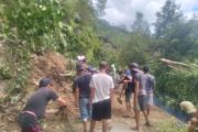 Banjir rendam 50 hektare sawah di Desa Toro Sigi