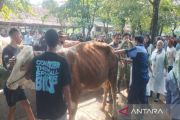 DP3 Sleman optimistis kekurangan 5.381 hewan kurban dapat terpenuhi